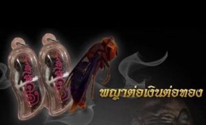 Bùa Hút Tài Lộc Tiền Bạc Paya Tor Ngern