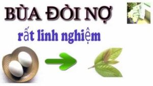 Bùa đòi nợ bằng trứng vịt + lá ổi