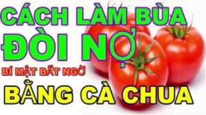 Cách làm bùa đòi nợ bằng cà chua + lá chanh + gừng
