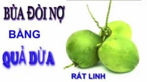 Làm bùa đòi nợ bằng dừa