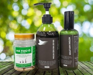 1.Tinh dầu bưởi mọc tóc tốt nhất do Việt Nam sản xuất Motona Hair