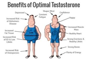 Vai trò của Testosterone ở nam giới
