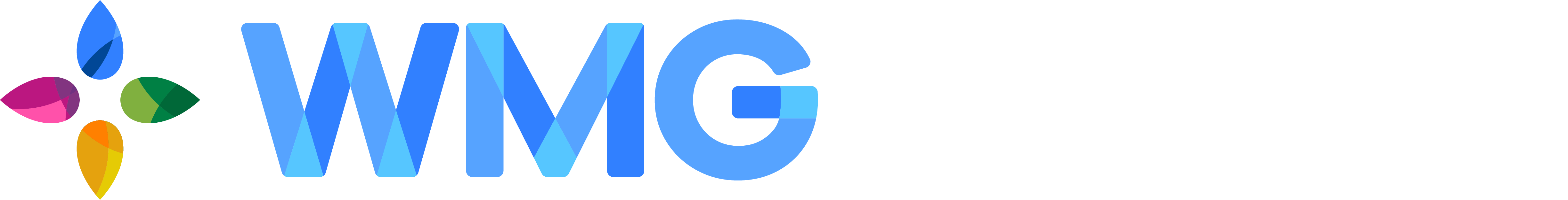 Wellington Medical Group