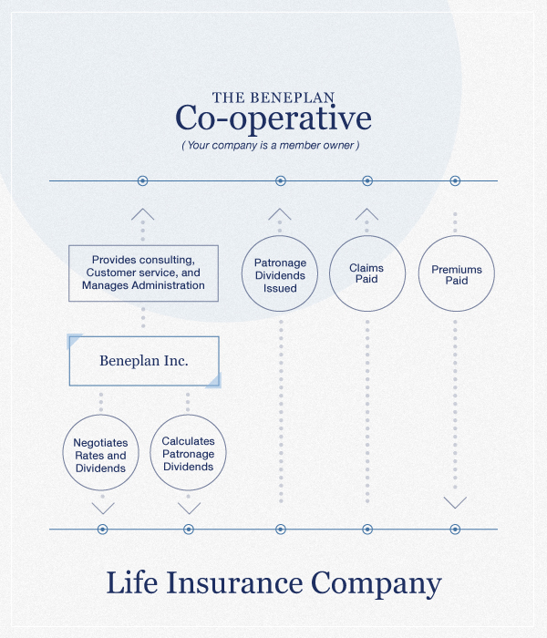 Beneplan Cooperative