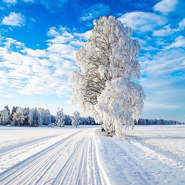Photo Credit Sven Erik