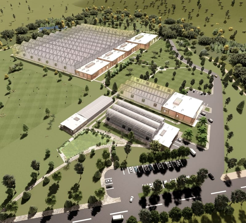 Hannaford replaces whole head romaine lettuce grown in CA & AZ with certified organic Lettuce