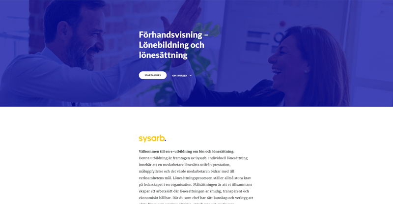 E-learning lönesättning översikt