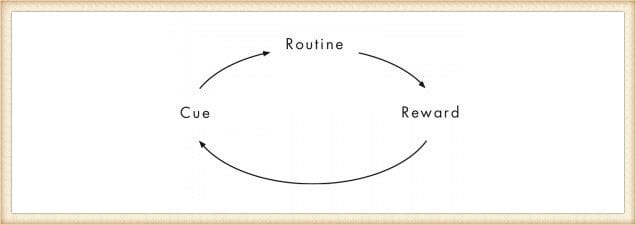 feedback loop