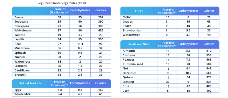 table of nutritional content on a vegetarian or vegan diet