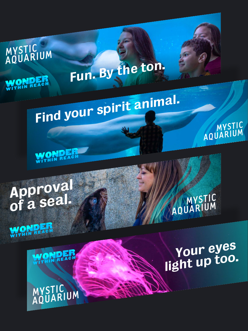 Mystic Aquarium Portfolio Website for Chris Undi