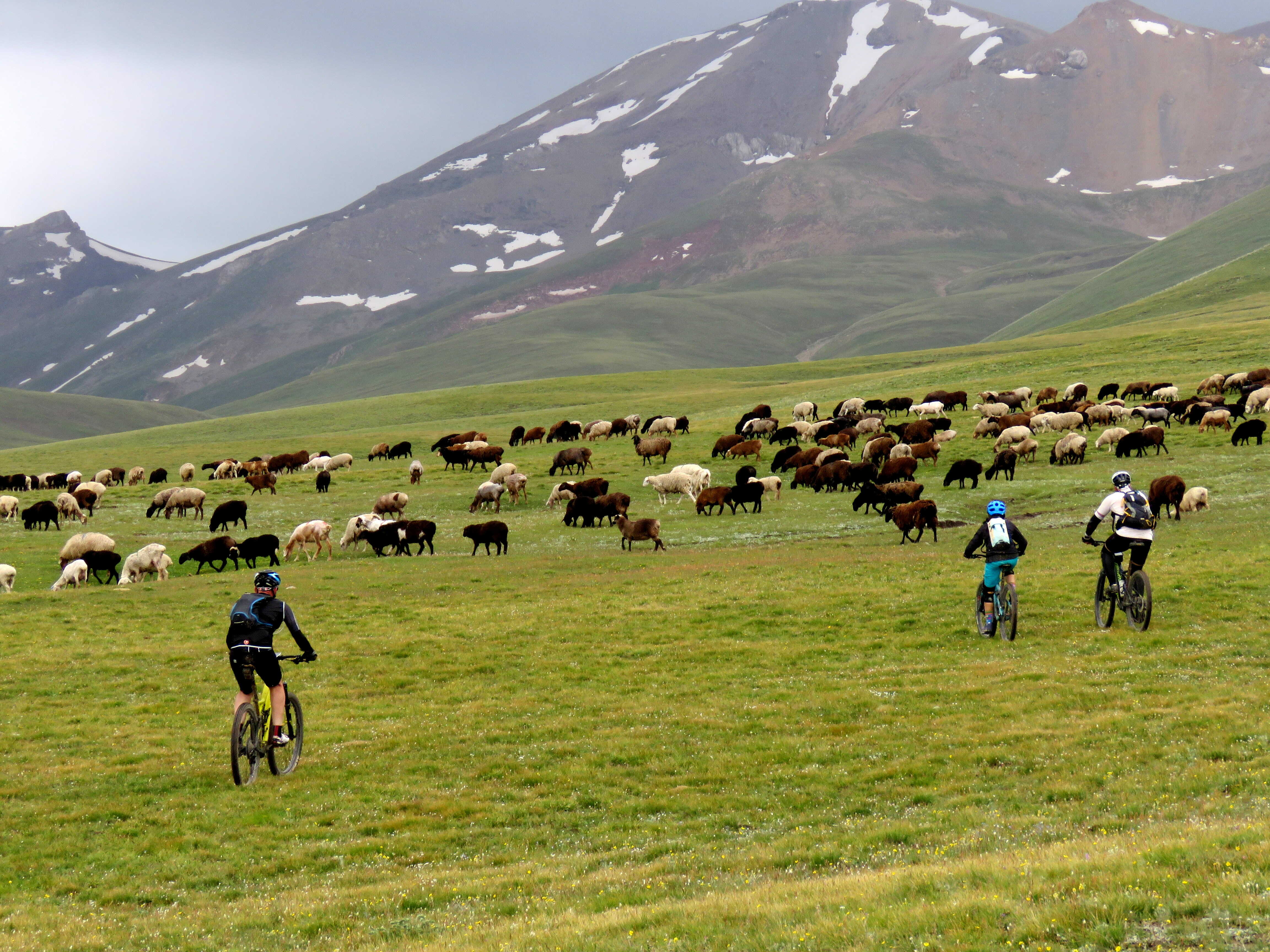 קירגיזסטן אופניים. 7-15.7.2021