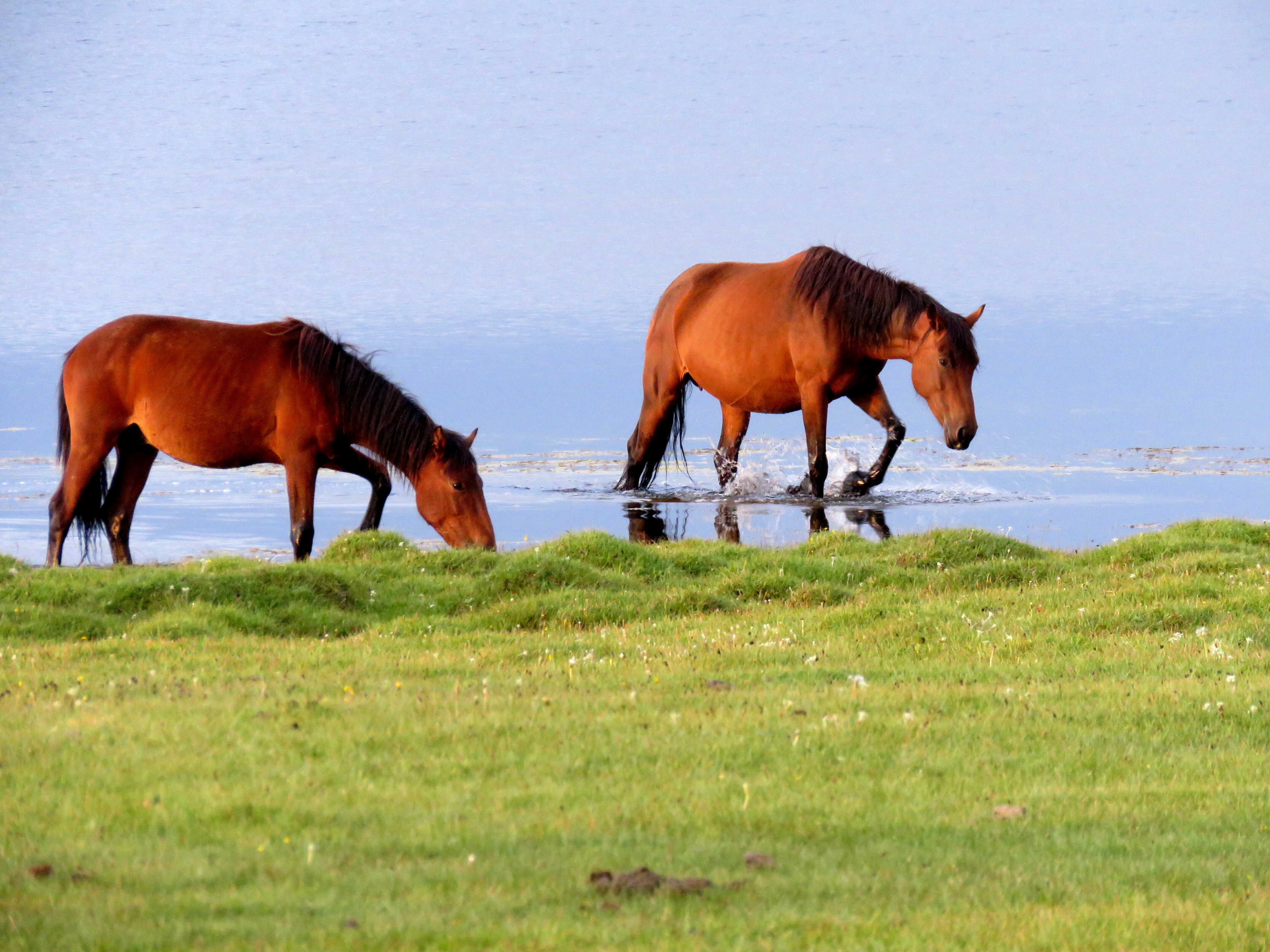 קירגיזסטן אופניים. 7-15.7.2021