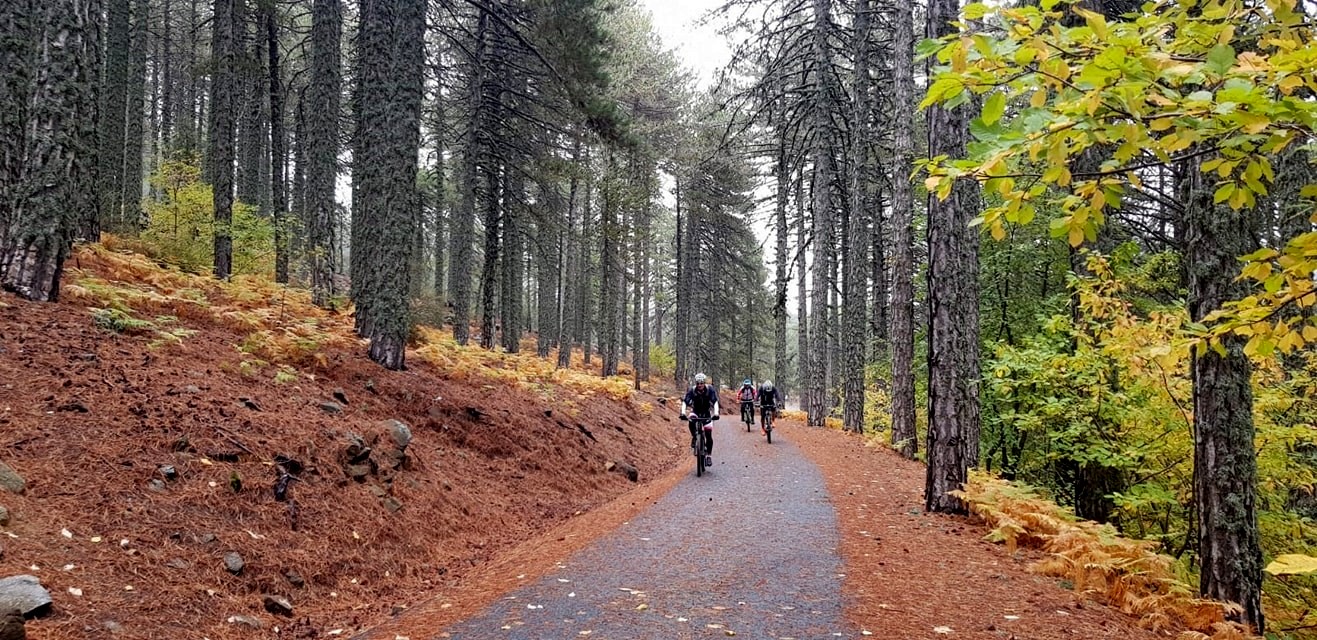 קפריסין אופניים. 17-20.6.2021