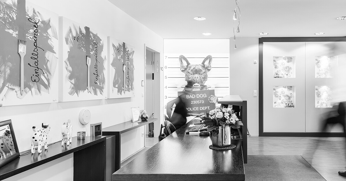 Kieferorthopädische Praxis Dr. Maul, Erlangen