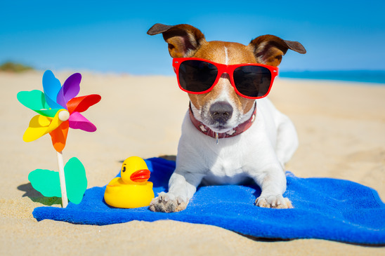 Summer is here and the weather is heating up!