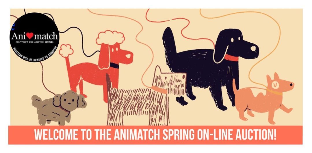 Animatch Dog Adoption Services