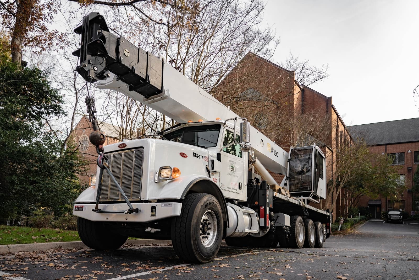 Gunnison Tree Services