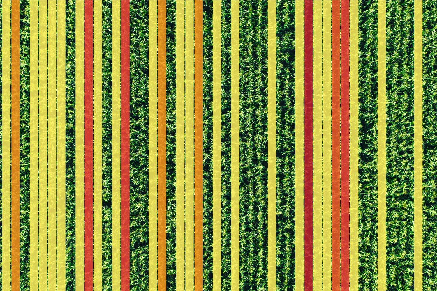 A map showing wheel traffic across 48 rows on our farm. Darker colors signify multiple passes made by equipment.