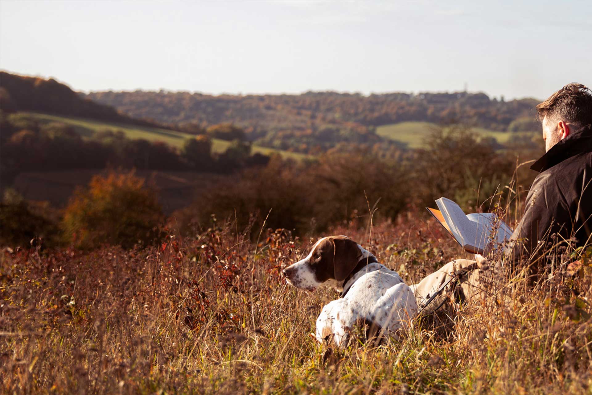 Man reading in a field with a dog