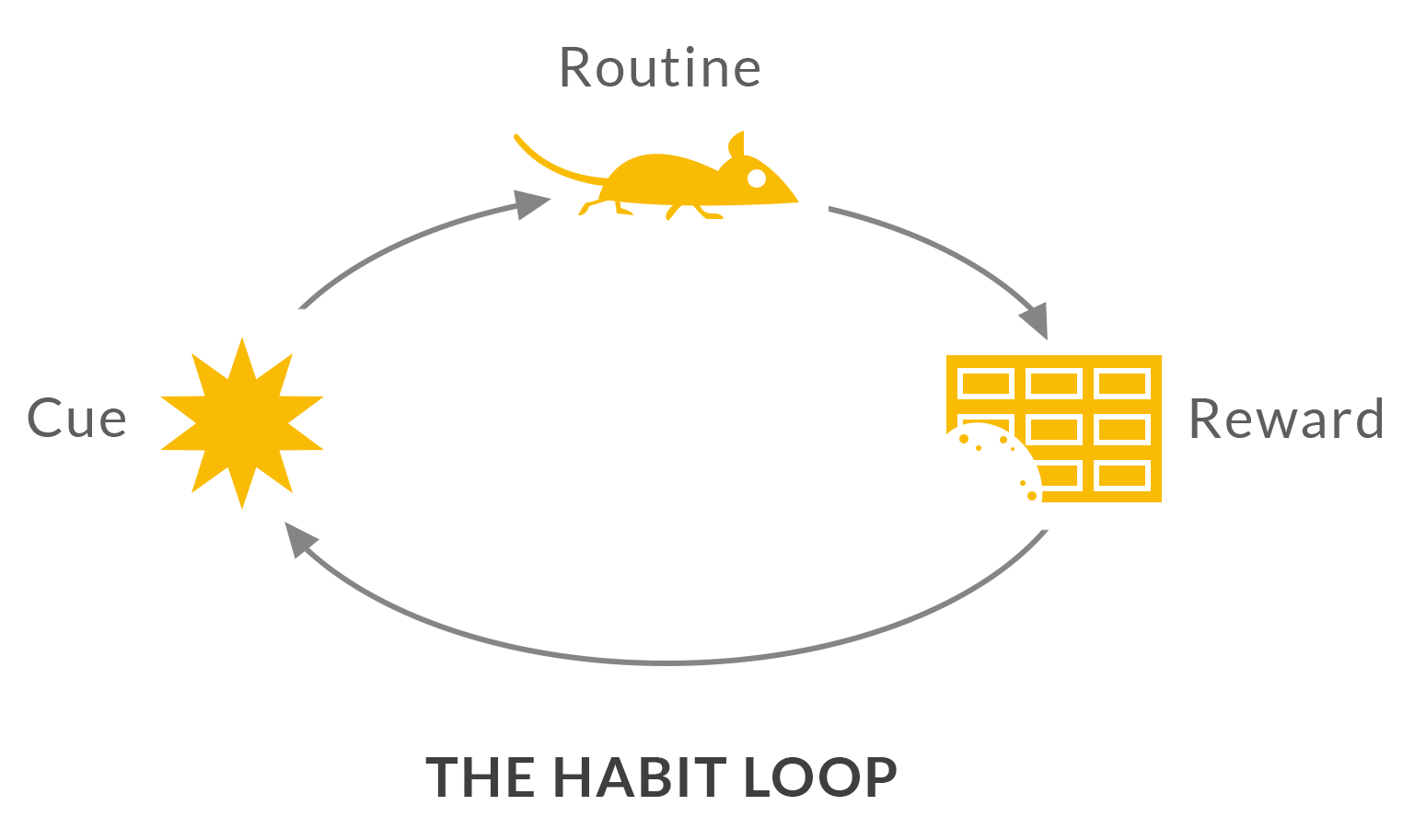 habit loop