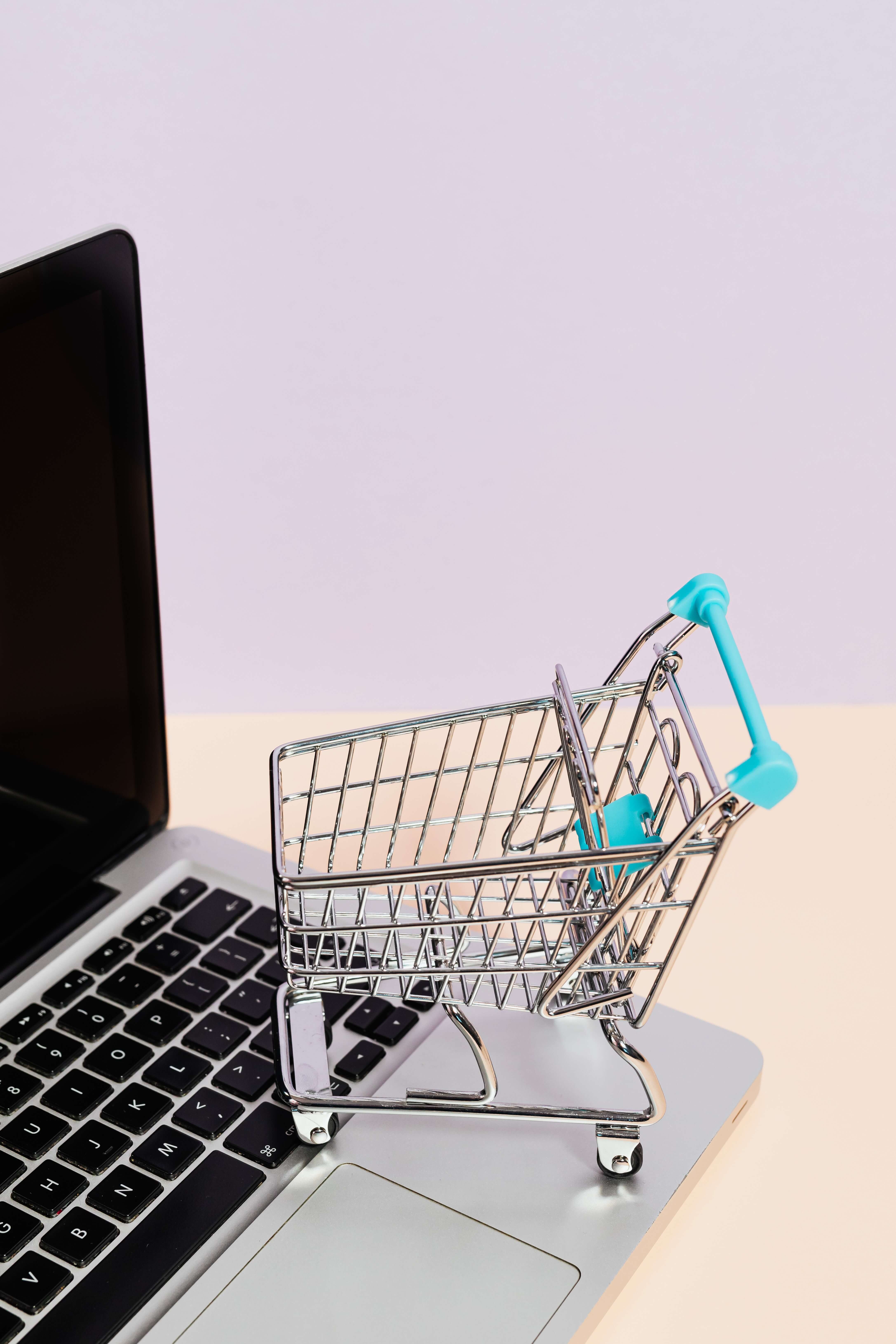 Onlineshop Kosten 2