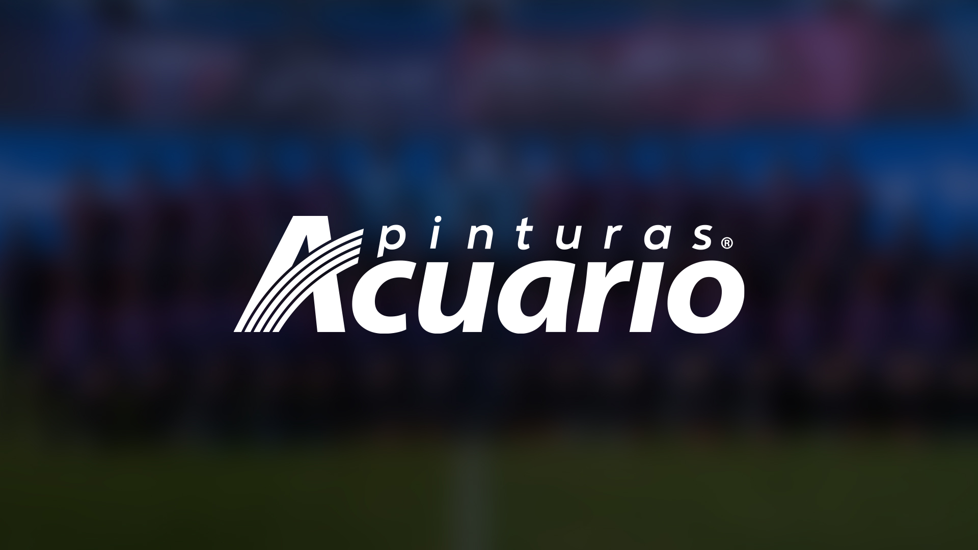 Pinturas Acuario