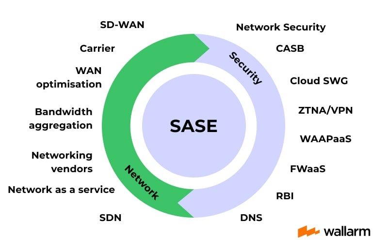Components of The SASE Model