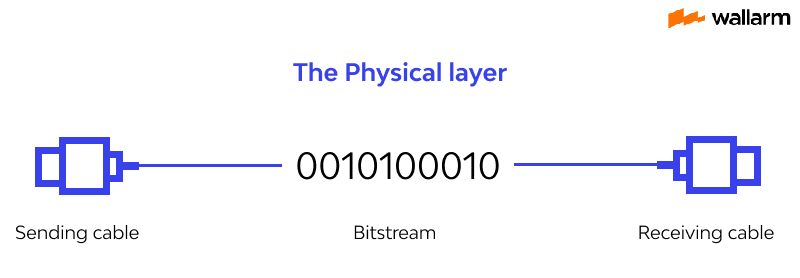 The physical layer