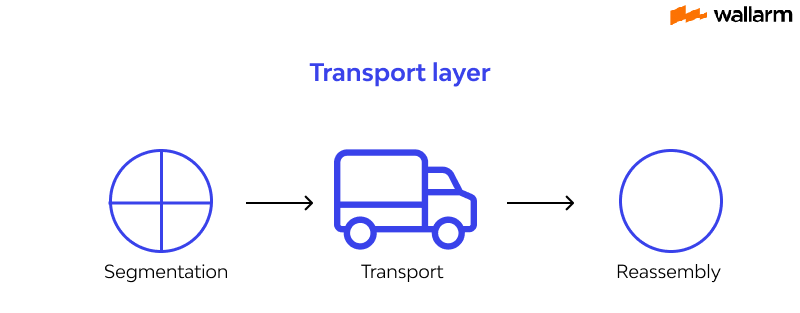 The transport layer