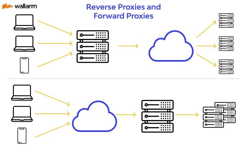 Reverse Proxies vs Forward Proxies