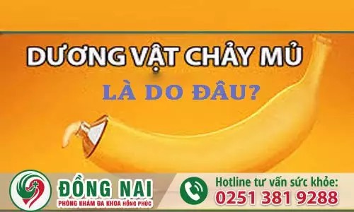 Tình trạng đầu sáo có mủ nguy hiểm như thế nào?