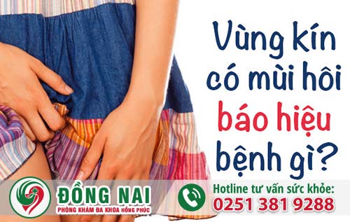 Vùng kín có mùi hôi sau khi quan hệ là bệnh gì?