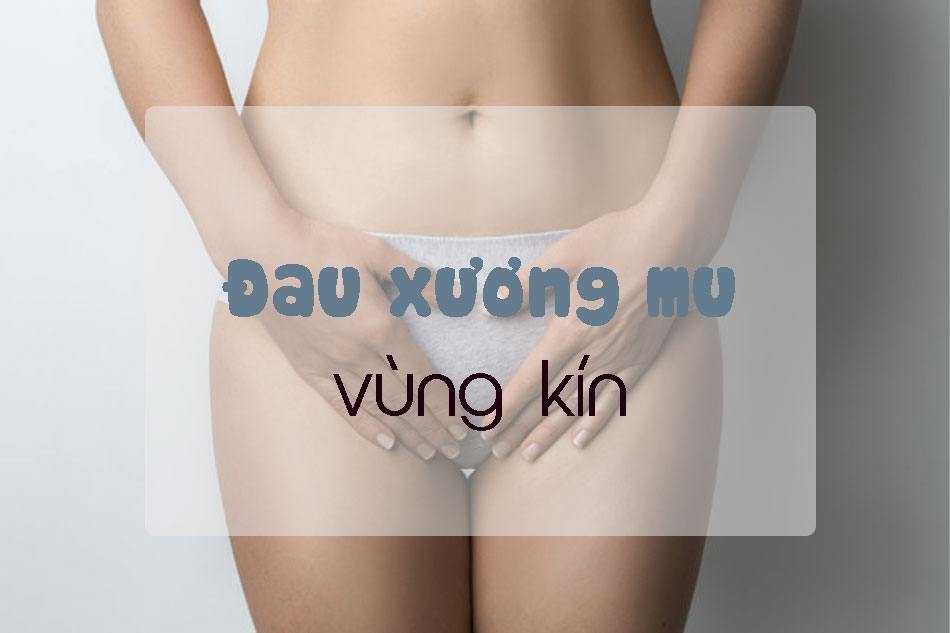 Đau xương mu vùng kín là dấu hiệu bệnh gì?