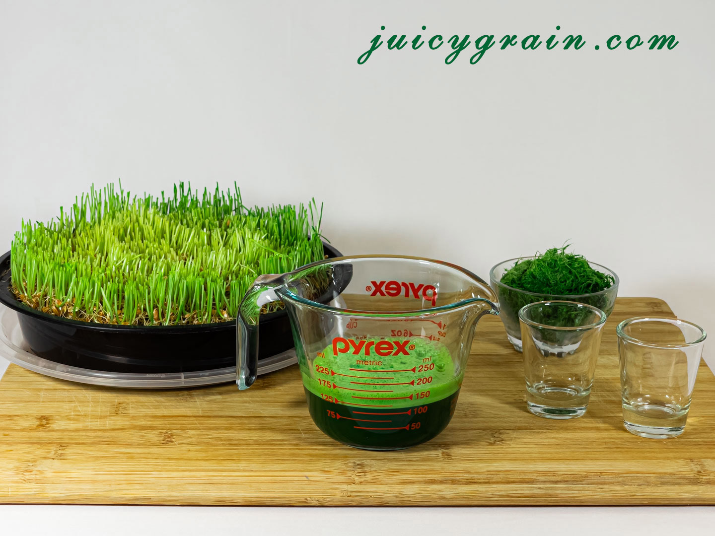Does wheatgrass regrow after cutting? Juicy Grain