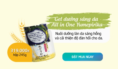 Gel dưỡng sáng da All in One YUMEPIRIKA
