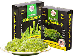 Rong nho trường thọ