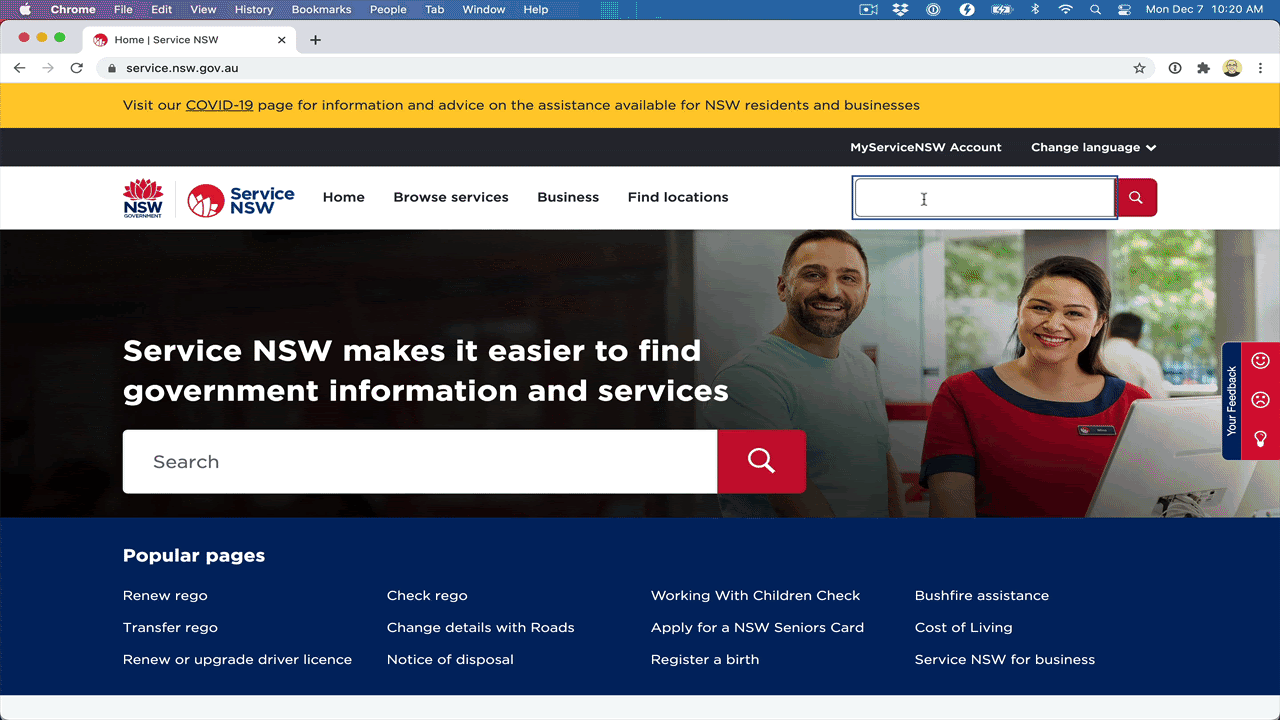 government site search