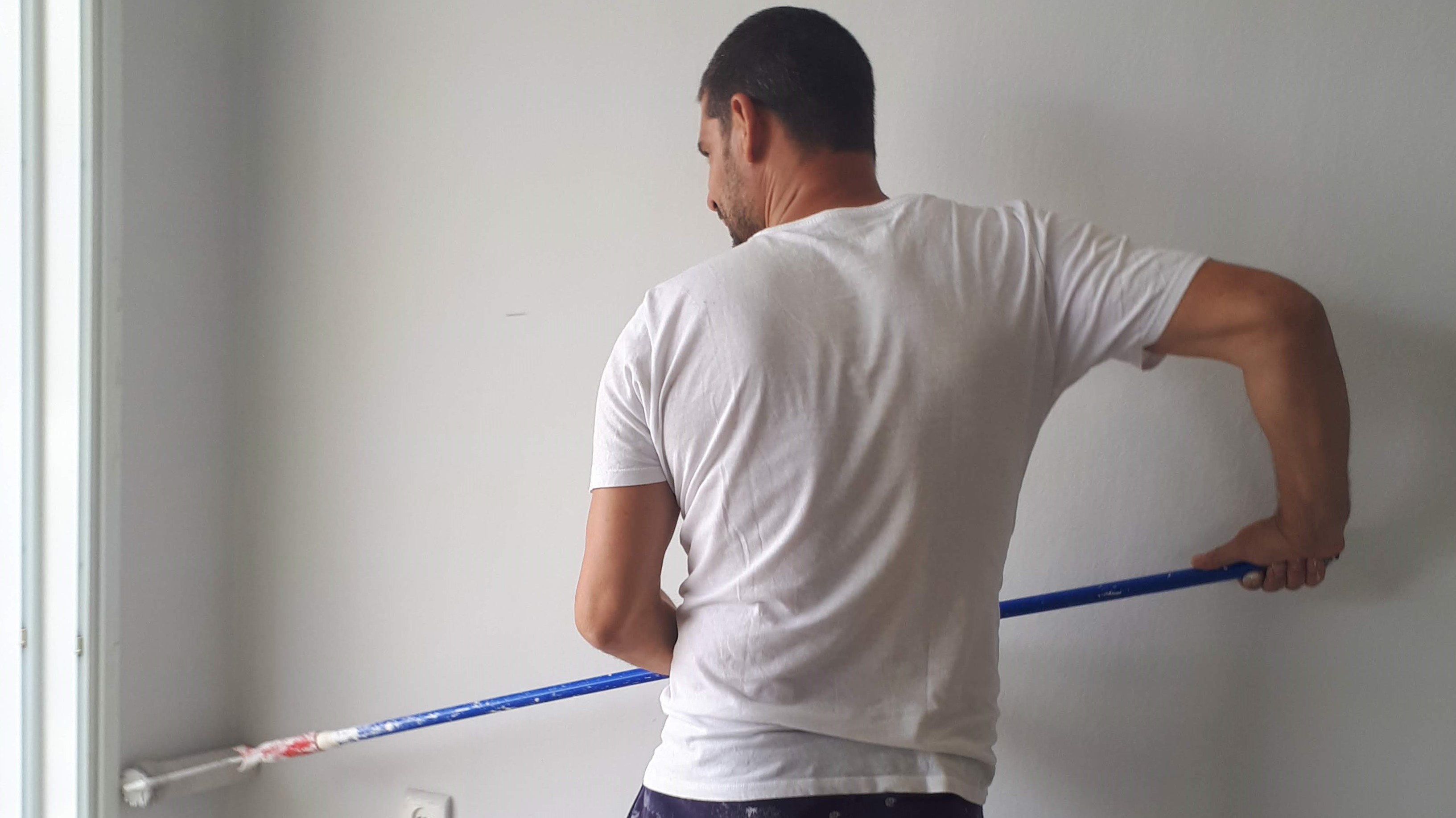 צביעת דירה בנס ציונה