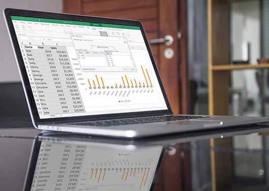 A laptop displaying spreadsheets