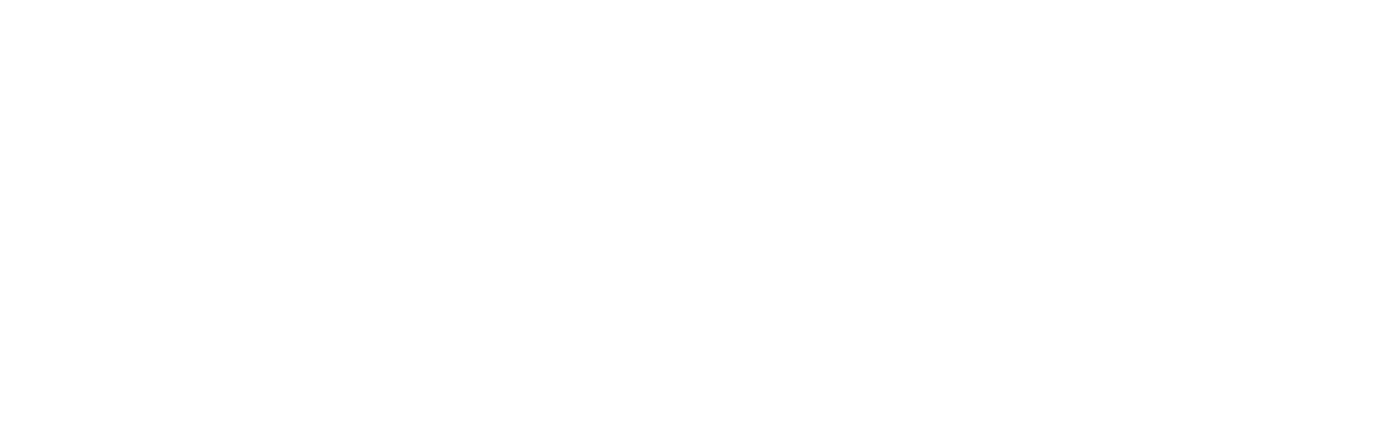 Belisamo Hair Salon logo