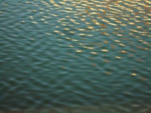 closeup of rippling water