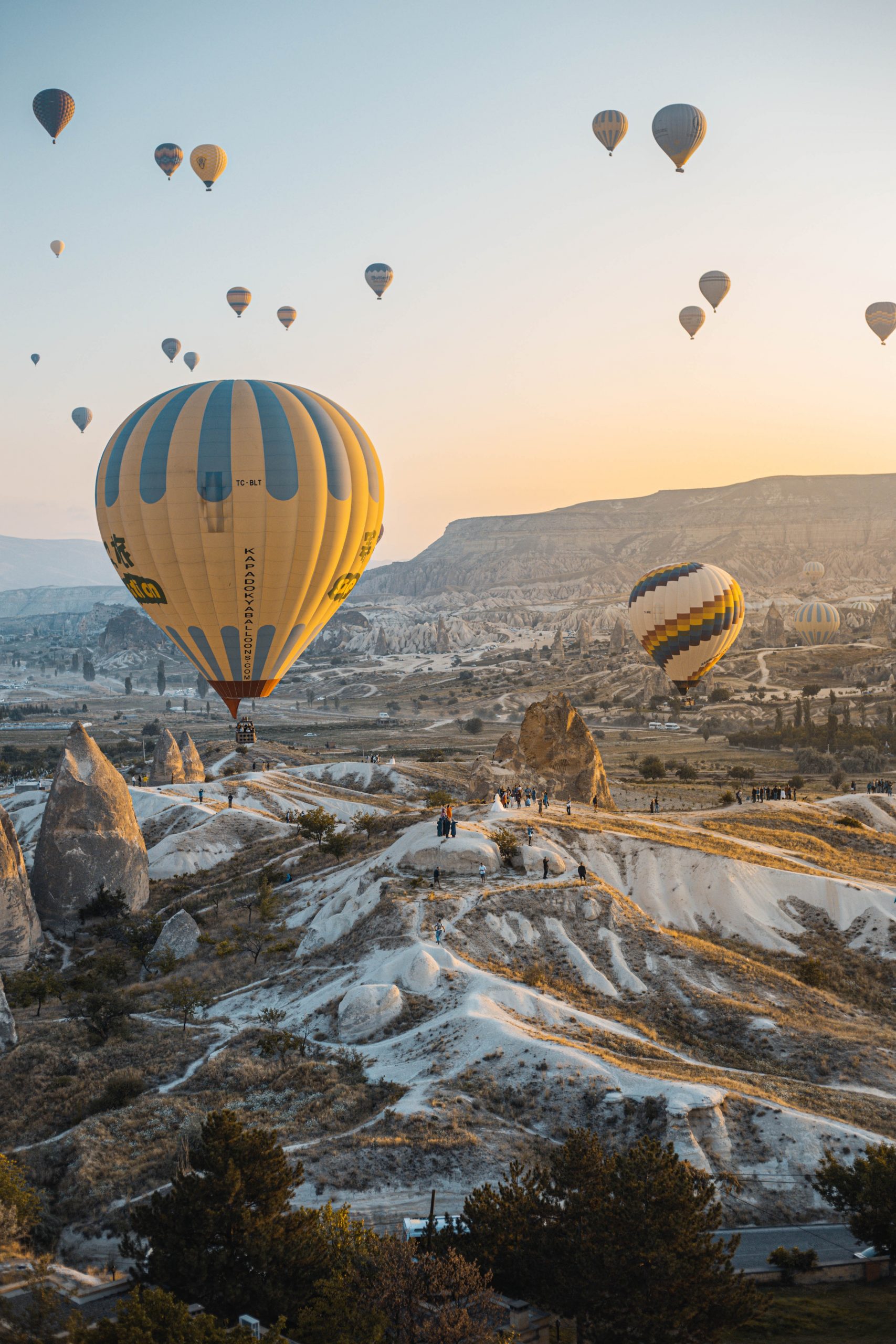 hot air balloons floating in the sky