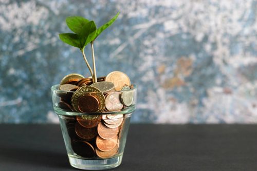 coins filled up inside a clear glass with a sprout growing out of the coins