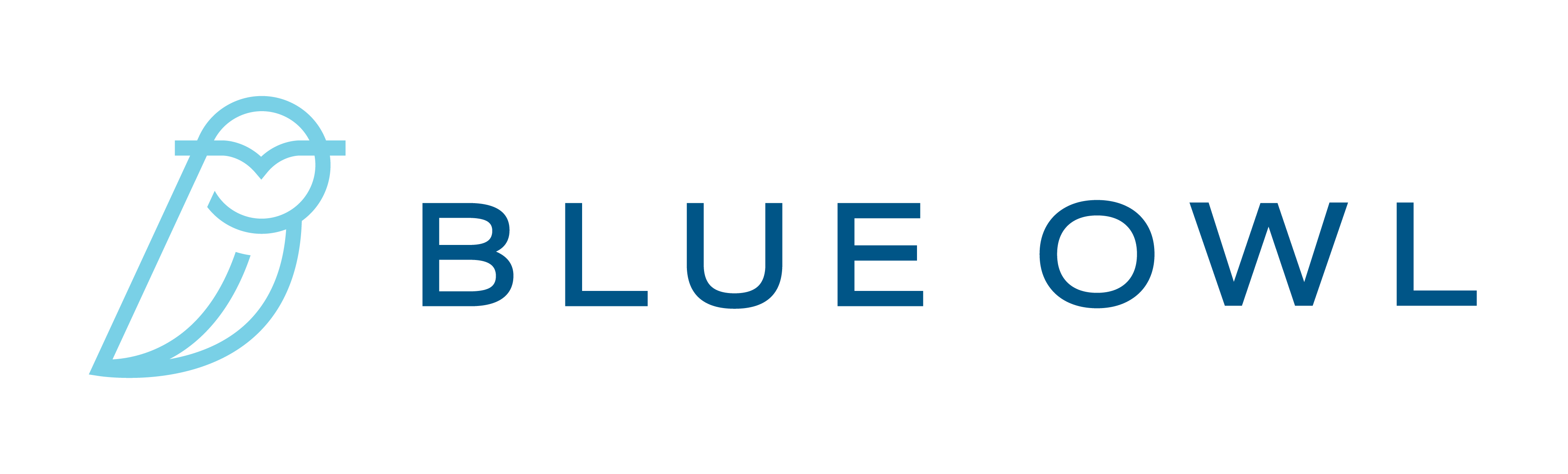 Blue Owl