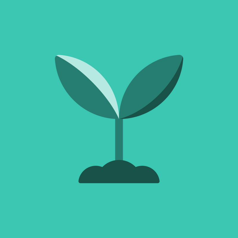 Cloud Insurance Blog 4 New Pet Insurance Technologies