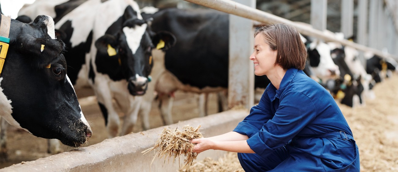 Animal Welfare Lead