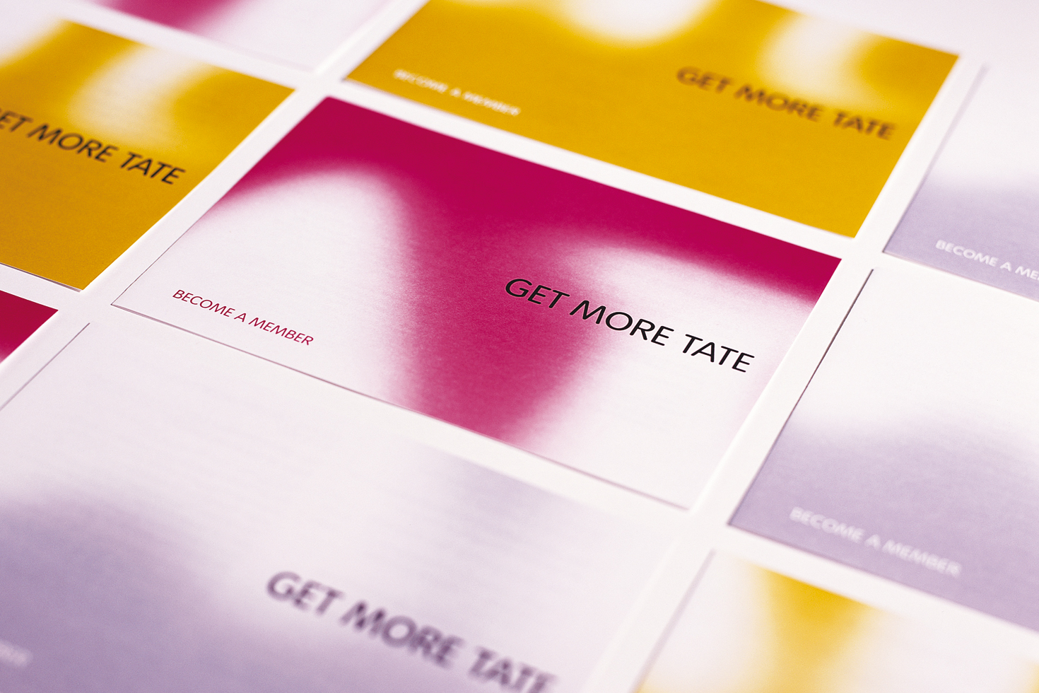 Tate membership materials