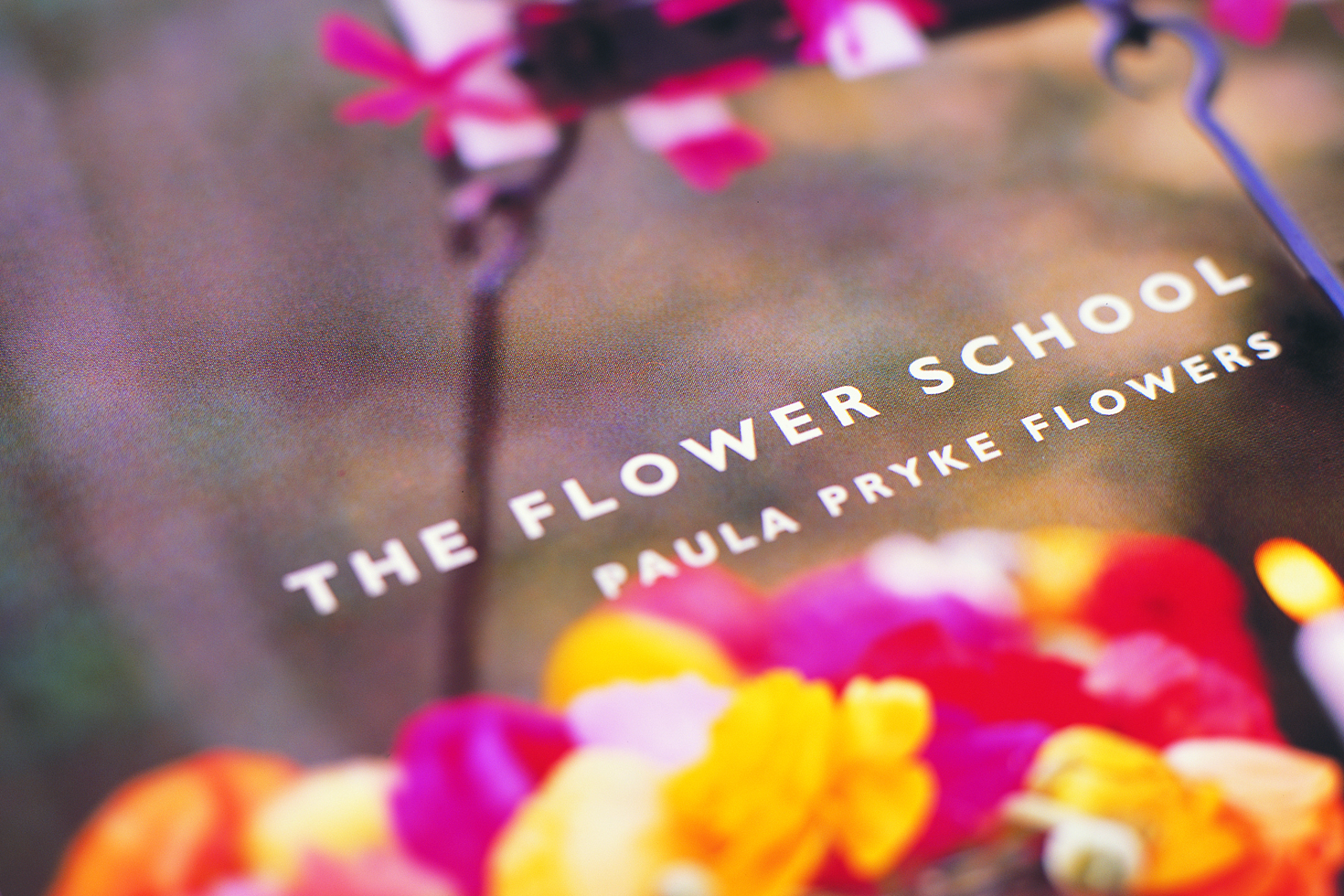Paula Pryke Flowers window