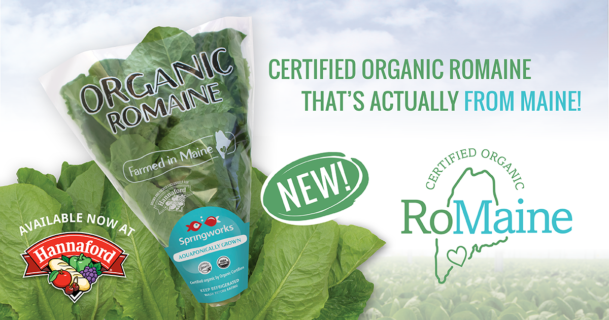 Hannaford replaces whole head romaine lettuce grown in CA & AZ with certified organic Lettuce