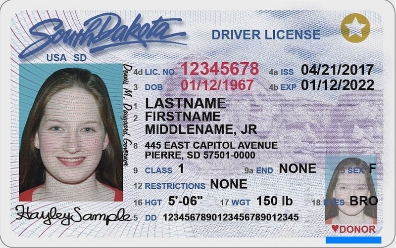 South Dakota drivers license